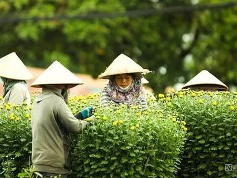 Làng hoa Bốt Đỏ tấp nập vào Xuân