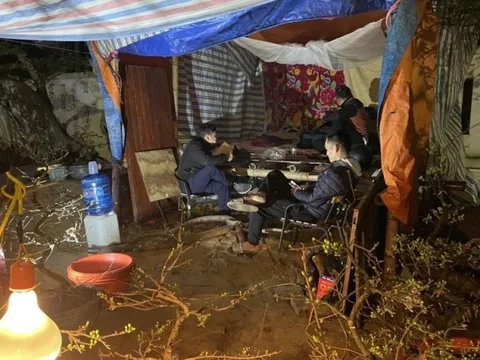 Người bán hoa Tết đủ thứ lo trong cái rét 13°C