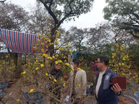 Tết Nguyên đán, thời tiết các vùng trên cả nước ra sao?