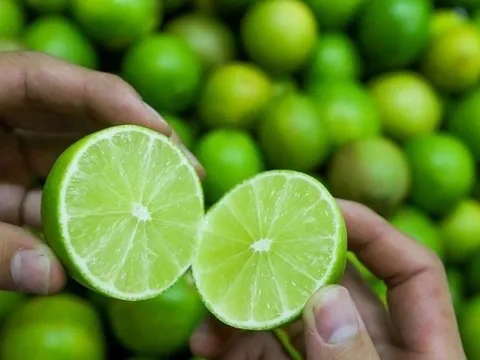 Long An: Niềm vui từ xuất khẩu chanh tươi và những triển vọng