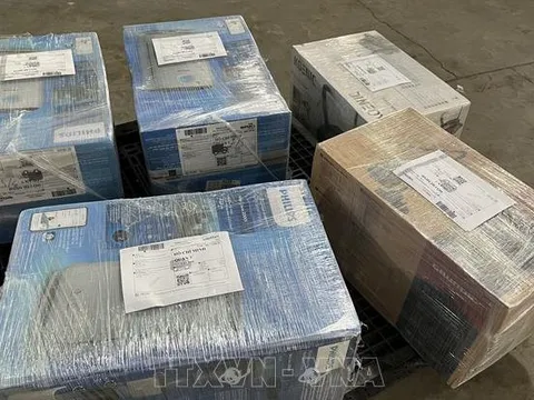 Thu giữ hơn 58 kg ma túy được cất giấu tinh vi, gửi từ Hà Lan về Nội Bài