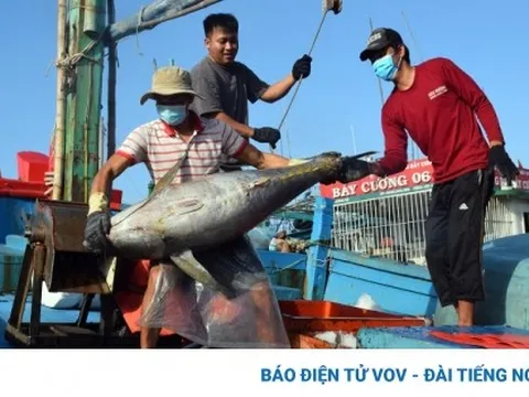 Xuất khẩu thủy sản đứng trước nhiều khó khăn trong năm 2023