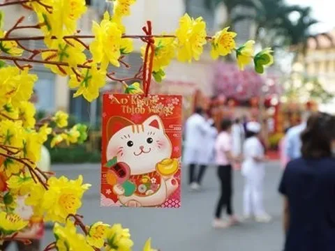 Đường hoa xuân giúp bệnh nhân vơi đi nỗi đau bệnh tật ngày Tết