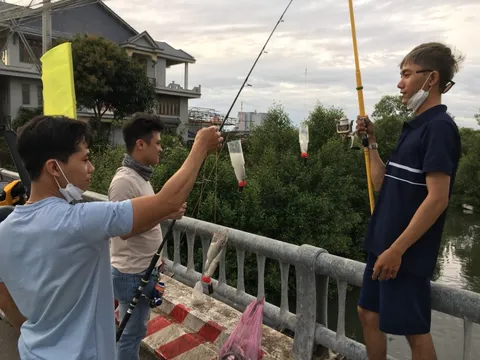 Độc đáo câu cá đối ngày giáp Tết