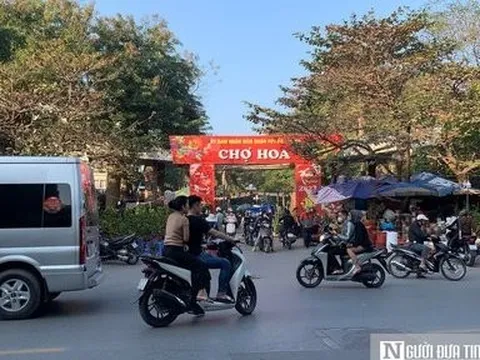 Không khí Tết Hà Nội nhộn nhịp trong từng hàng hoa