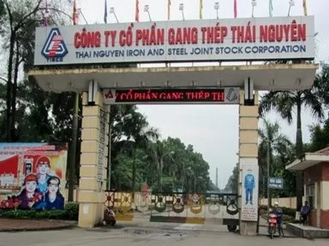 Gang thép Thái Nguyên kinh doanh thua lỗ, vay nợ hơn 4.600 tỷ đồng