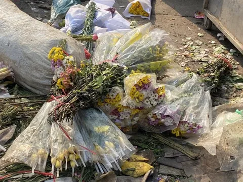 Chiều 30 Tết: Đào, tuyết mai, lan hồ điệp... rẻ chưa từng có chỉ từ 20.000 đồng, tiểu thương ngậm ngùi vứt bỏ hoa ế, người dân tranh thủ đến lượm