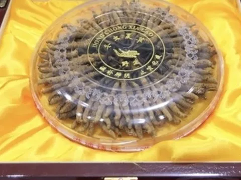 Những thú chơi đốt tiền tỷ ngày Tết của nhà giàu Việt