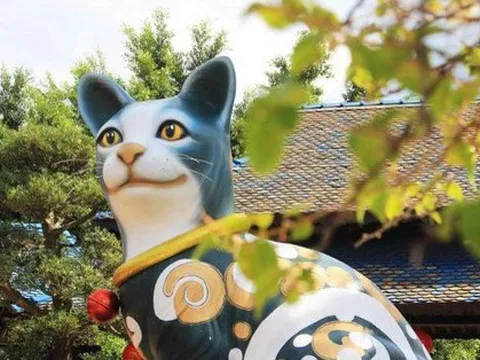 Chú mèo Lâm Đồng tham gia cuộc đua linh vật của năm