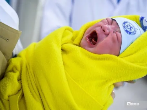 Chào đón “thiên thần” đầu tiên của năm Quý Mão