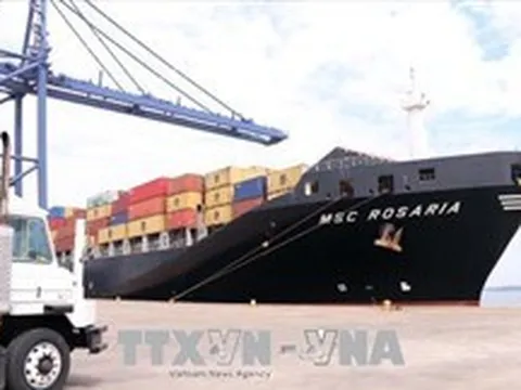 Cảng biển tấp nập đón tàu lớn làm hàng đầu năm