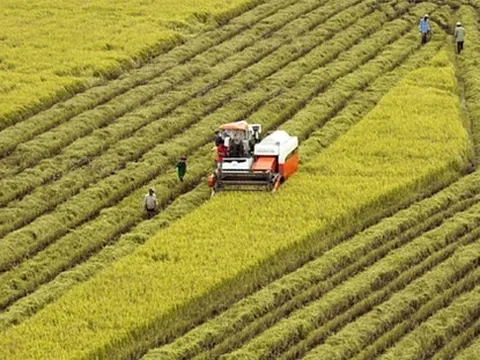 Nông nghiệp luôn là 'trụ đỡ bảo hiểm' về mặt xã hội