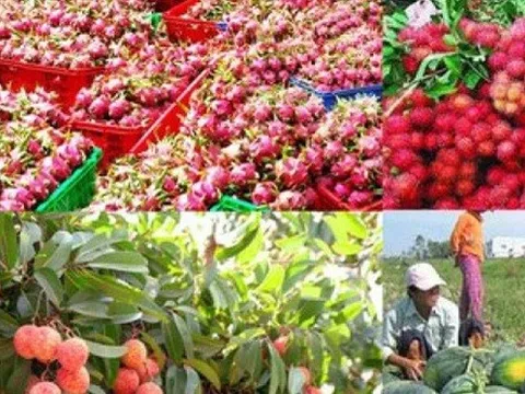 Triển vọng xuất khẩu nông sản Việt