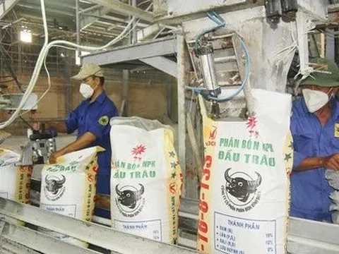 Lợi nhuận quý IV sụt giảm, Phân bón Bình Điền vẫn vượt kế hoạch cả năm