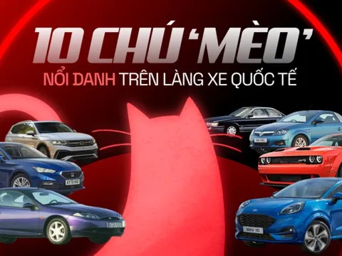 10 chú 'mèo' nổi danh trên làng xe quốc tế