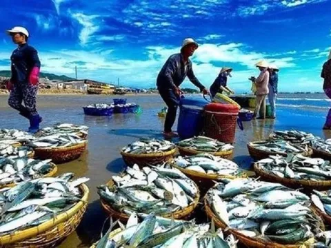 Ngành thủy sản đặt mục tiêu xuất khẩu 10 tỷ USD trong năm 2023