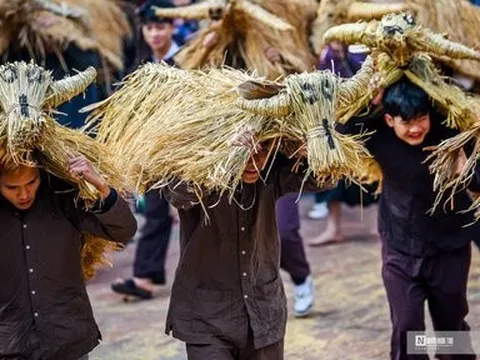 Lễ hội trâu rơm, bò rạ - nét đặc trưng của cư dân lúa nước