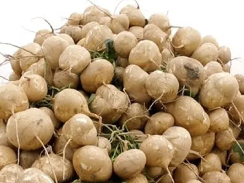 Loại củ giá rẻ bán đầy ở chợ có tác dụng rất tốt với sức khỏe, không phải ai cũng biết
