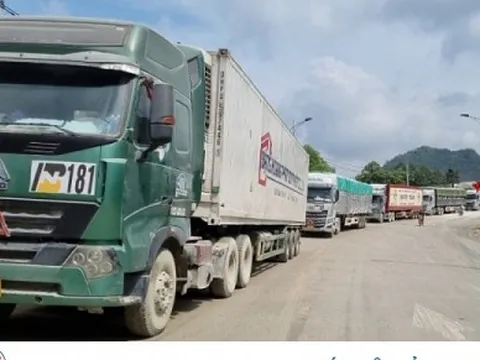 Hàng nghìn tấn nông sản được xuất khẩu qua cửa khẩu Lạng Sơn sau Tết