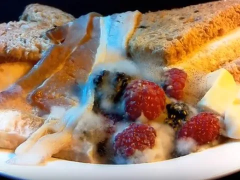 Chuyên gia chỉ ra độc tố trong bánh mứt Tết bị nấm mốc