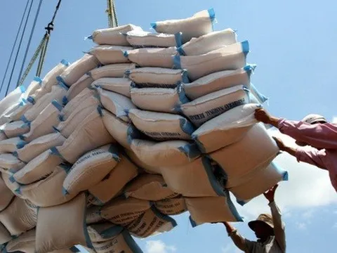 Cơ hội mới cho gạo Việt Nam tại Vùng Vịnh