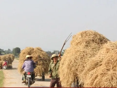 Biến rơm rạ thành tiền