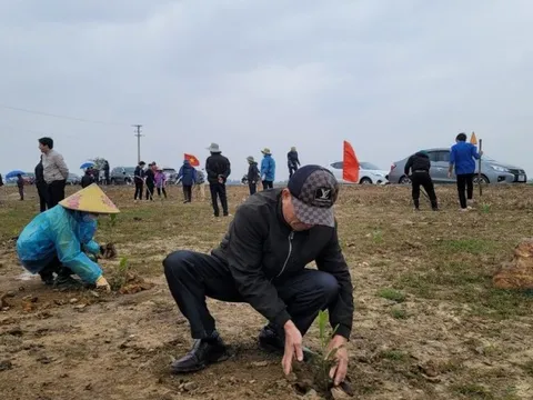 Lãnh đạo và người dân Thanh Hóa đội mưa rét trồng cây ngày đầu năm mới