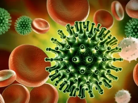Những tác nhân virus gây bệnh mới nổi
