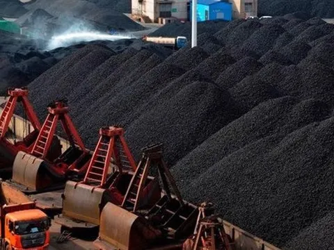 “Vàng đen” sốt giá, cổ phiếu DN than NBC, TDN, CST… đồng loạt tăng kịch trần trong phiên đầu năm