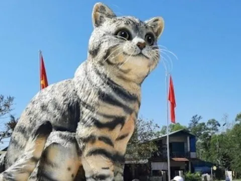 Quảng Trị tính đấu giá linh vật 'hoa hậu mèo' để gây quỹ