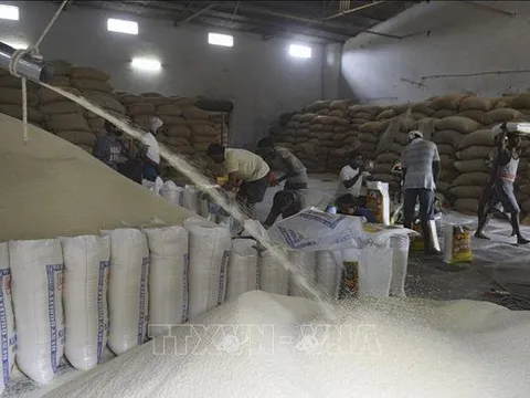 Giá gạo Ấn Độ tăng lên mức cao nhất trong gần hai năm