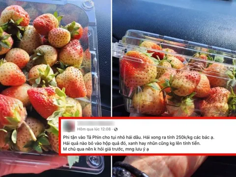 Đầu năm 'bóc phốt' vườn dâu tại Sa Pa nhưng nữ du khách lại bị cộng đồng mạng phản đối vì quá vô lý