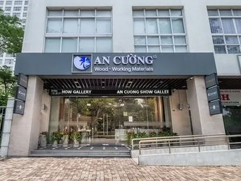 "Tân binh" sàn HoSE kiếm hơn 450 tỷ đồng doanh thu mỗi tháng