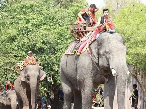 Lễ hội Cà phê Buôn Ma Thuột lần thứ 8: Điểm đến của cà phê thế giới