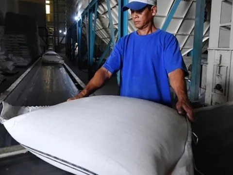 Qua thời hoàng kim, Đạm Phú Mỹ (DPM) đặt kế hoạch lợi nhuận giảm 58% trong năm 2023