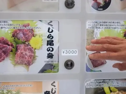 Một công ty Nhật Bản vừa mở bán thịt cá voi qua máy bán hàng tự động, giá thấp hơn cả 1 kg bò bắp ở Việt Nam