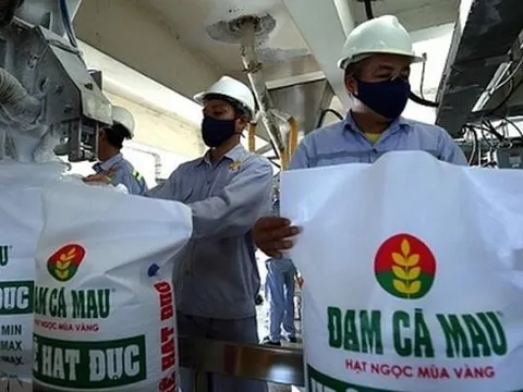 Đạt kỷ lục mới, Đạm Cà Mau (DCM) lãi gần 4.300 tỷ đồng trong năm 2022, gấp 2,3 lần cùng kỳ, cao hơn tổng lợi nhuận của cả 5 năm trước