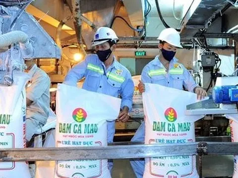 Lãi kỷ lục, Đạm Cà Mau có gần 9.000 tỷ đồng gửi ngân hàng lấy lãi