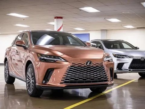 Lexus RX 2023 dời lịch ra mắt sang tháng 2: Giá dự kiến từ 3,43 tỷ, xe đã về Việt Nam