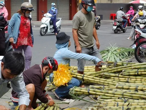 TP.HCM: Mía thân vàng đắt khách ngày cúng vía Ngọc Hoàng