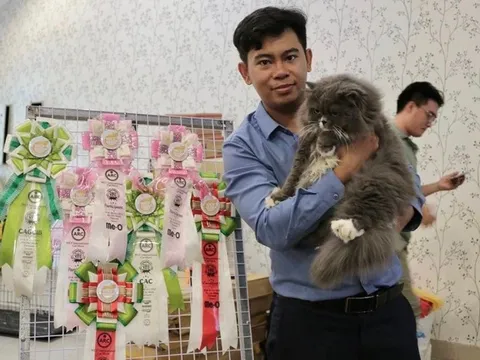 Chuyện về chàng trai “cuồng mèo”