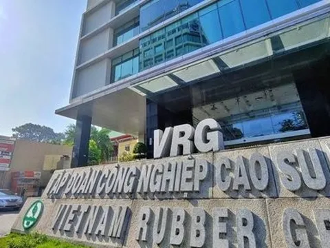 Tập đoàn Cao su Việt Nam đem về hơn 25.000 tỷ đồng doanh thu năm 2022