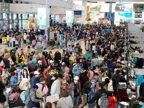 Khách bay tăng đột biến dịp Tết Nguyên đán