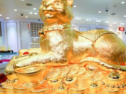 Cận cảnh tượng mèo bằng vàng 9999 khổng lồ nặng 48 kg