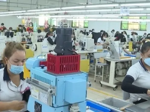 Bình Phước có 90% lao động đã trở lại làm việc sau Tết