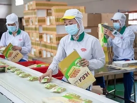 Tăng trưởng tích cực, PAN Group tăng trích lập dự phòng chứng khoán