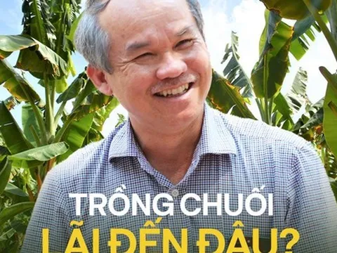 Bán gần 300.000 con heo và 300.000 tấn chuối chưa đủ trả lãi vay, “bí mật” cho mức lãi đều đặn trăm tỷ/tháng của Hoàng Anh Gia Lai là gì?