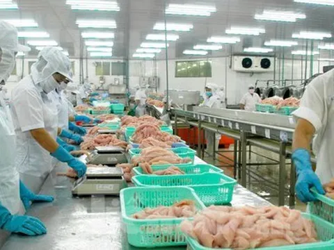 Nhiều mặt hàng thủy sản xuất khẩu của Việt Nam bất ngờ 'lao dốc'