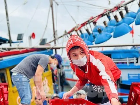 Một đêm ra khơi ngư dân Quảng Ngãi sắm được... 1 chỉ vàng