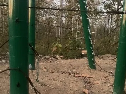 Voi rừng tấn công trung tâm bảo tồn voi để giành thức ăn với voi nhà